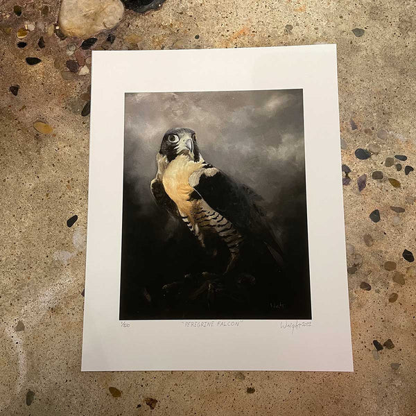 'Peregrine Falcon Power Animal' Limited Edition Print Of 200-Expressive Realism